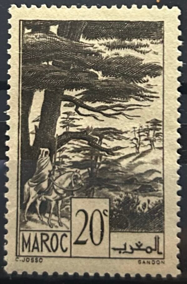 Maroc – N°169 – Neuf Sans Charnière – Année 1939-42 – Cote 0,50 €.