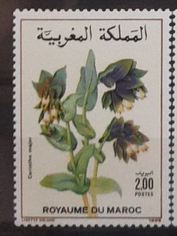 Maroc – Série de 2 timbres N°1070 et 1071  Neuf Sans Charnière – Année 1989 – Cote 3 €