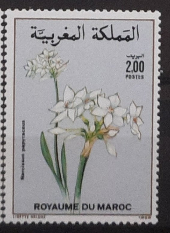 Maroc – Série de 2 timbres N°1070 et 1071  Neuf Sans Charnière – Année 1989 – Cote 3 €