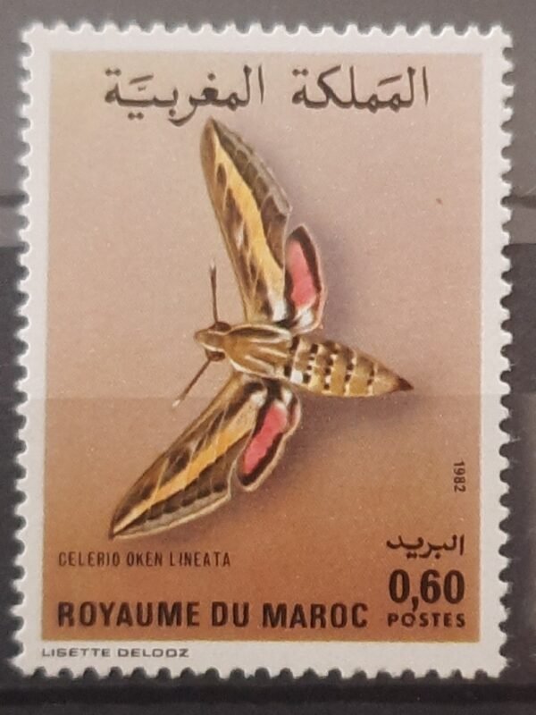 Maroc – Série de 2 Timbres N°921 et 922 Neuf Sans Charnière – Année 1982 – Cote 6 €