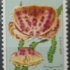 Maroc – Série de 4 Timbre N° 488-491 Neuf Sans Charnière – Année 1965 – Cote 5 €