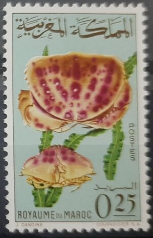 Maroc – Série de 4 Timbre N° 488-491 Neuf Sans Charnière – Année 1965 – Cote 5 €