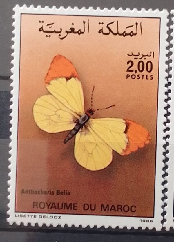 Maroc – Série de 2 timbres N° 1017 et 1018 – Neuf Sans Charnière – Année 1986 – Cote 6 €