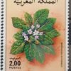Maroc – Série de 2 timbres N° 1008 et 1009 – Neuf Sans Charnière – Année 1986 – Cote 7 €