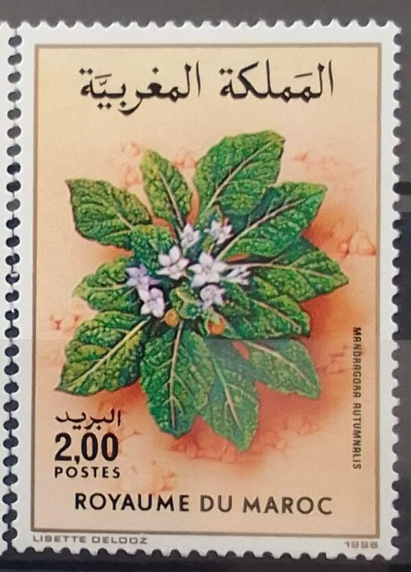 Maroc – Série de 2 timbres N° 1008 et 1009 – Neuf Sans Charnière – Année 1986 – Cote 7 €