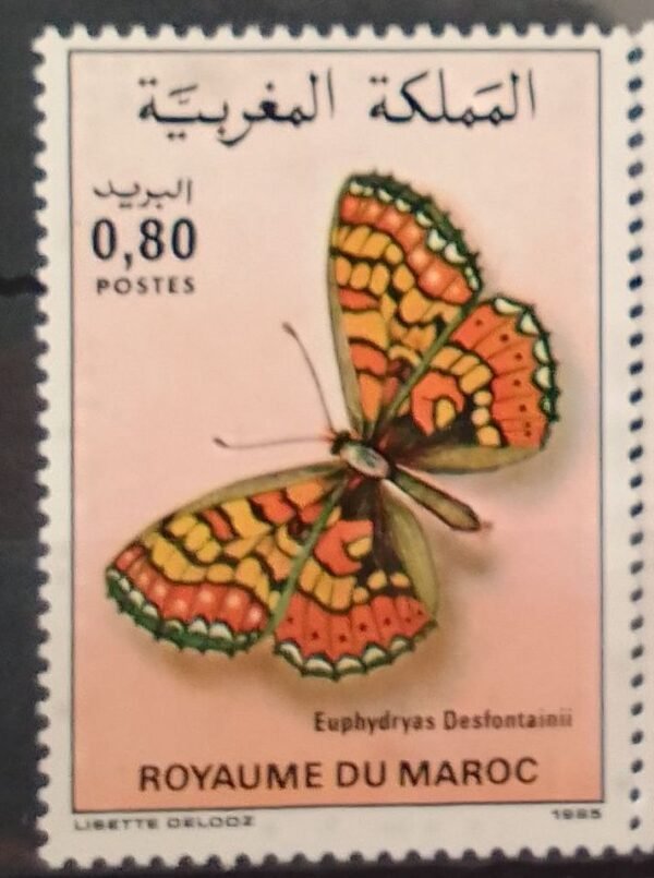 Maroc – Série de 2 timbres N° 996 et 997 – Neuf Sans Charnière – Année 1985 – Cote 6 €