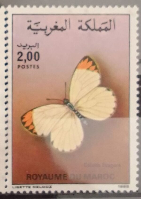 Maroc – Série de 2 timbres N° 996 et 997 – Neuf Sans Charnière – Année 1985 – Cote 6 €