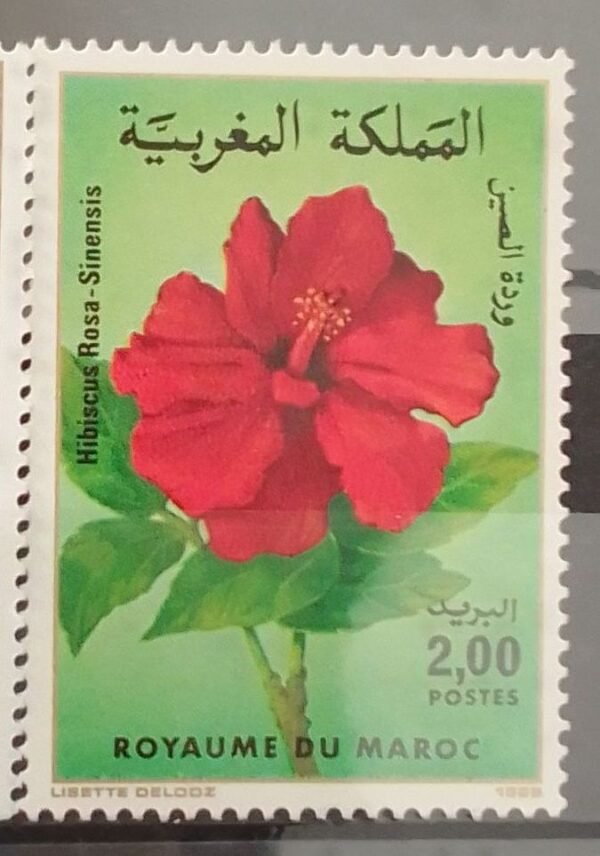 Maroc – Série de 2 timbres N° 988 et 989 – Neuf Sans Charnière – Année 1985 – Cote 5 €