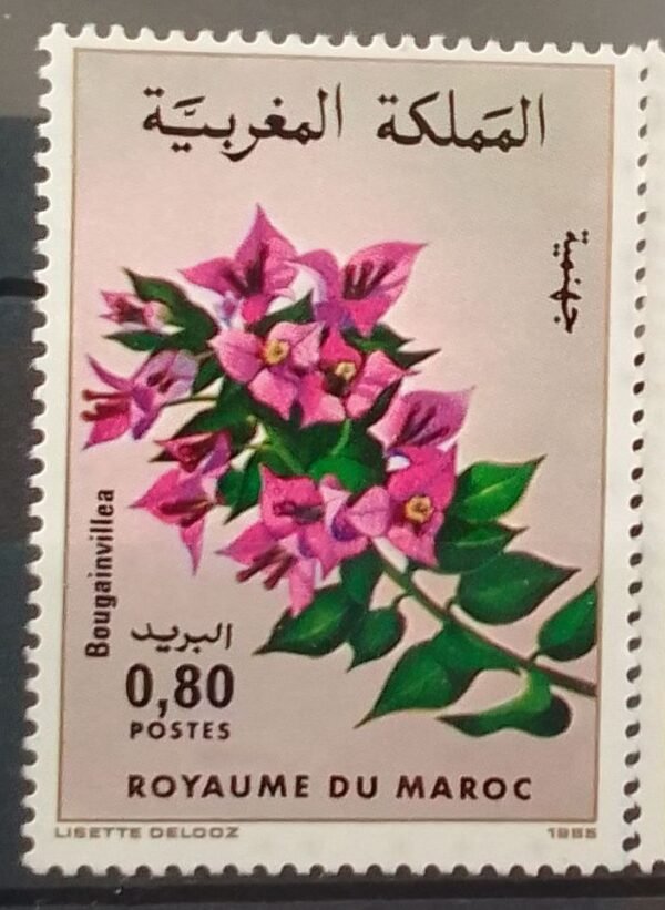 Maroc – Série de 2 timbres N° 988 et 989 – Neuf Sans Charnière – Année 1985 – Cote 5 €