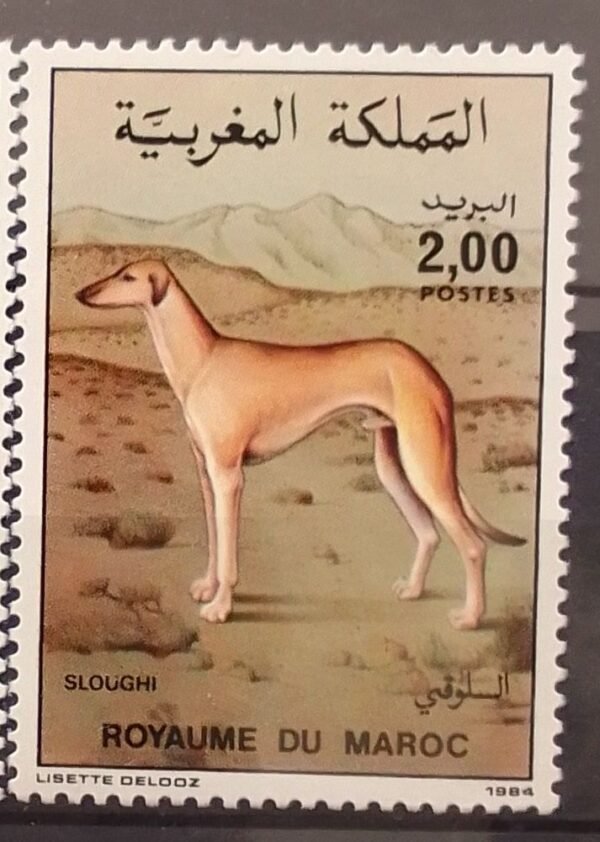Maroc – Série de 2 timbres N° 979 et 980 – Neuf Sans Charnière – Année 1984 – Cote 4,50 €