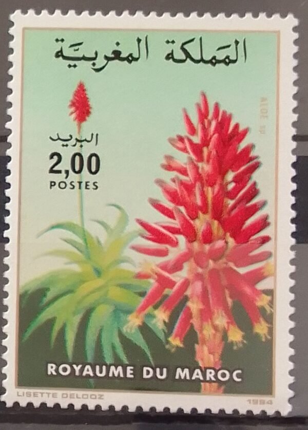 Maroc – Série de 2 timbres N° 967 et 968 – Neuf Sans Charnière – Année 1984 – Cote 2 €