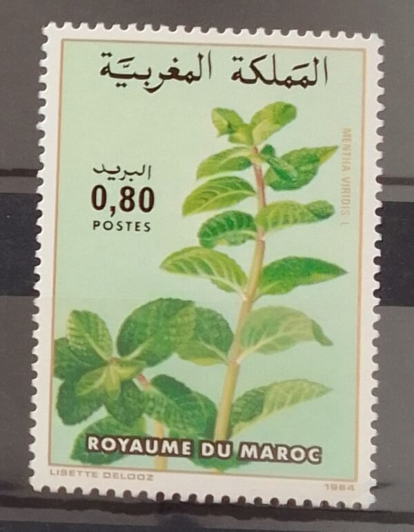 Maroc – Série de 2 timbres N° 967 et 968 – Neuf Sans Charnière – Année 1984 – Cote 2 €
