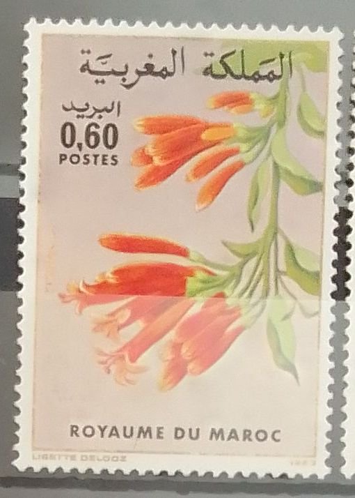 Maroc – Série de 2 Timbres N°947 et 948 Neuf Sans Charnière – Année 1983 – Cote 3 €