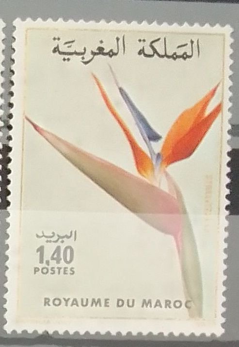 Maroc – Série de 2 Timbres N°947 et 948 Neuf Sans Charnière – Année 1983 – Cote 3 €