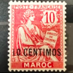 Pince à Timbres en Acier Inoxydable pour Collectionneurs et Passionnés.